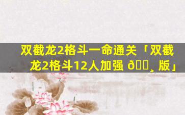 双截龙2格斗一命通关「双截龙2格斗12人加强 🌸 版」